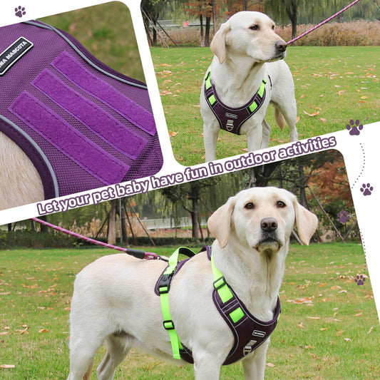 Pechera Arnés Con Correa Para Perro Chico Mediano Y Grande