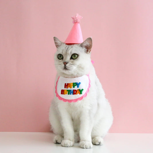Set De Bandana Con Gorro Para Cumpleaños