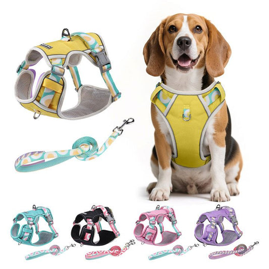 Pechera Arnés Con Correa Para Perro Chico Mediano Y Grande Fruta
