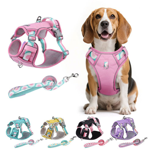 Pechera Arnés Con Correa Para Perro Chico Mediano Y Grande Fruta