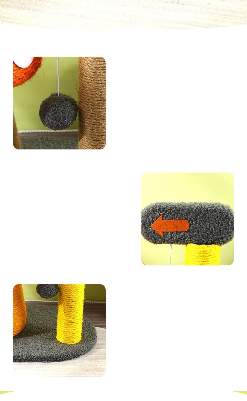 BBDD MUSHROOM HOUSE RASCADOR DE GATO SETA