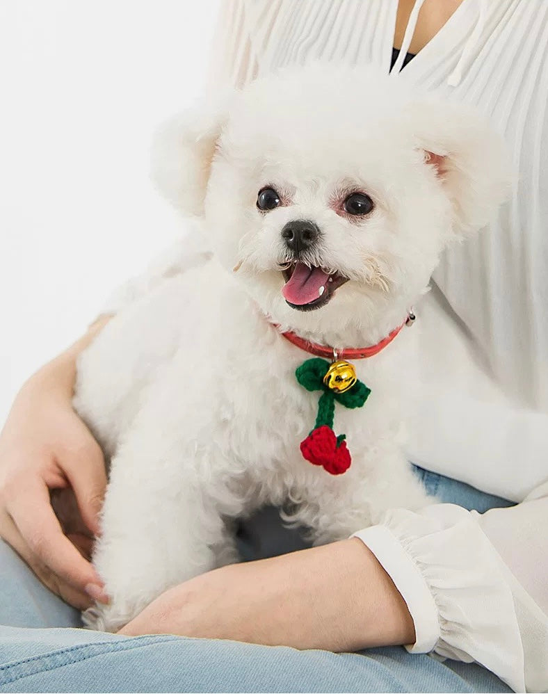 BBDD COLLAR CHERRY