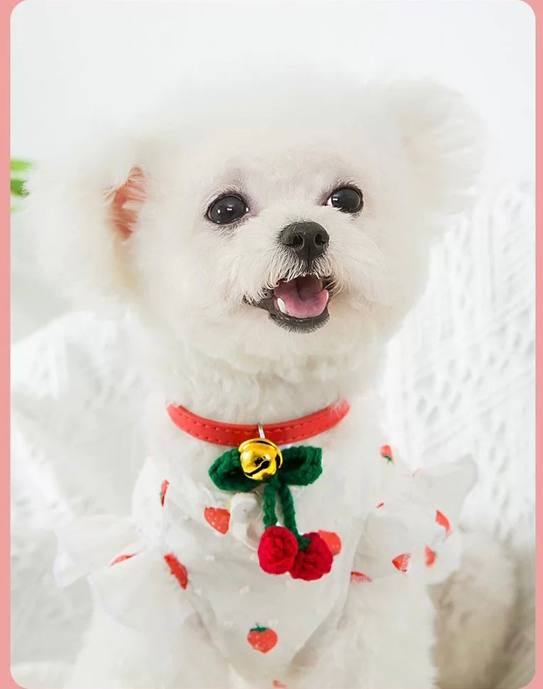 BBDD COLLAR CHERRY