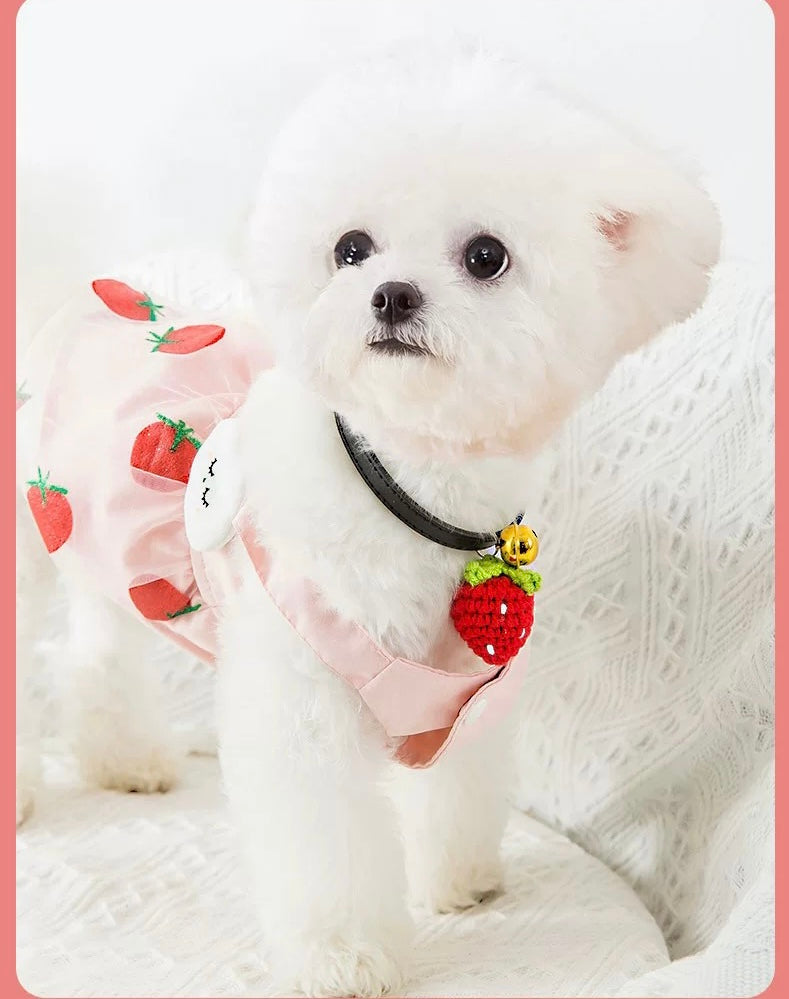 BBDD COLLAR CHERRY
