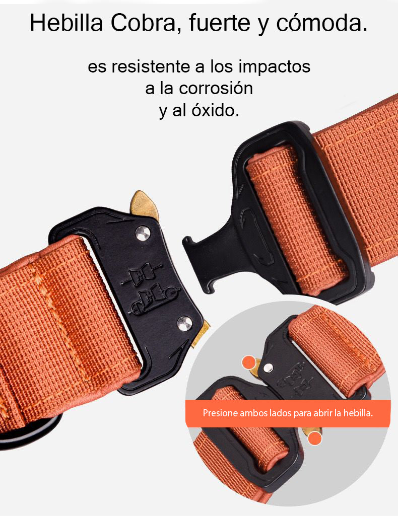 Collar Táctico Para Perro Ajustable Con Hebilla De Metal