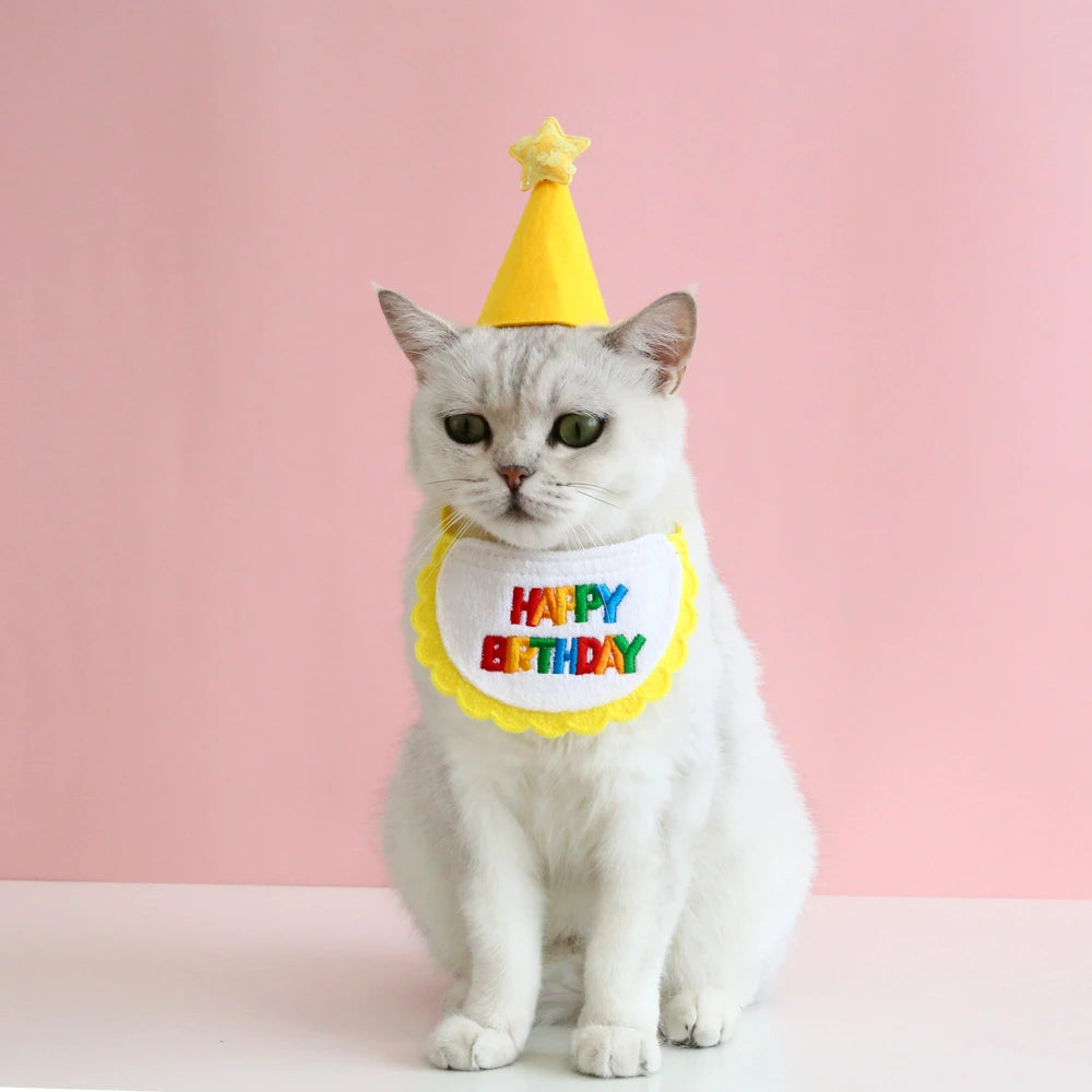 Set De Bandana Con Gorro Para Cumpleaños