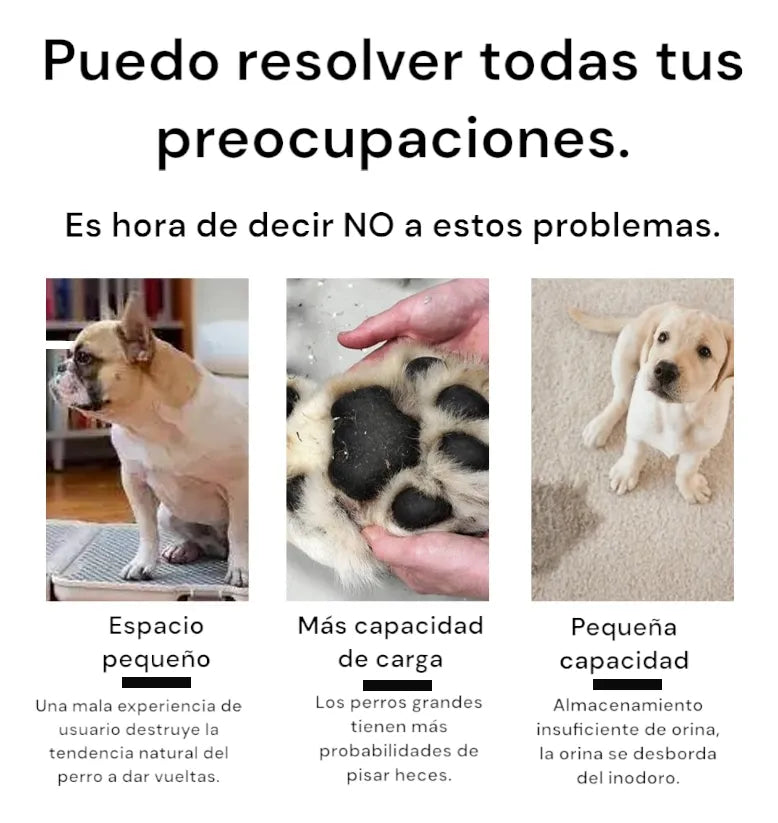 Bandeja De Baño Para Entrenamiento De Mascotas Pequeñas Gris