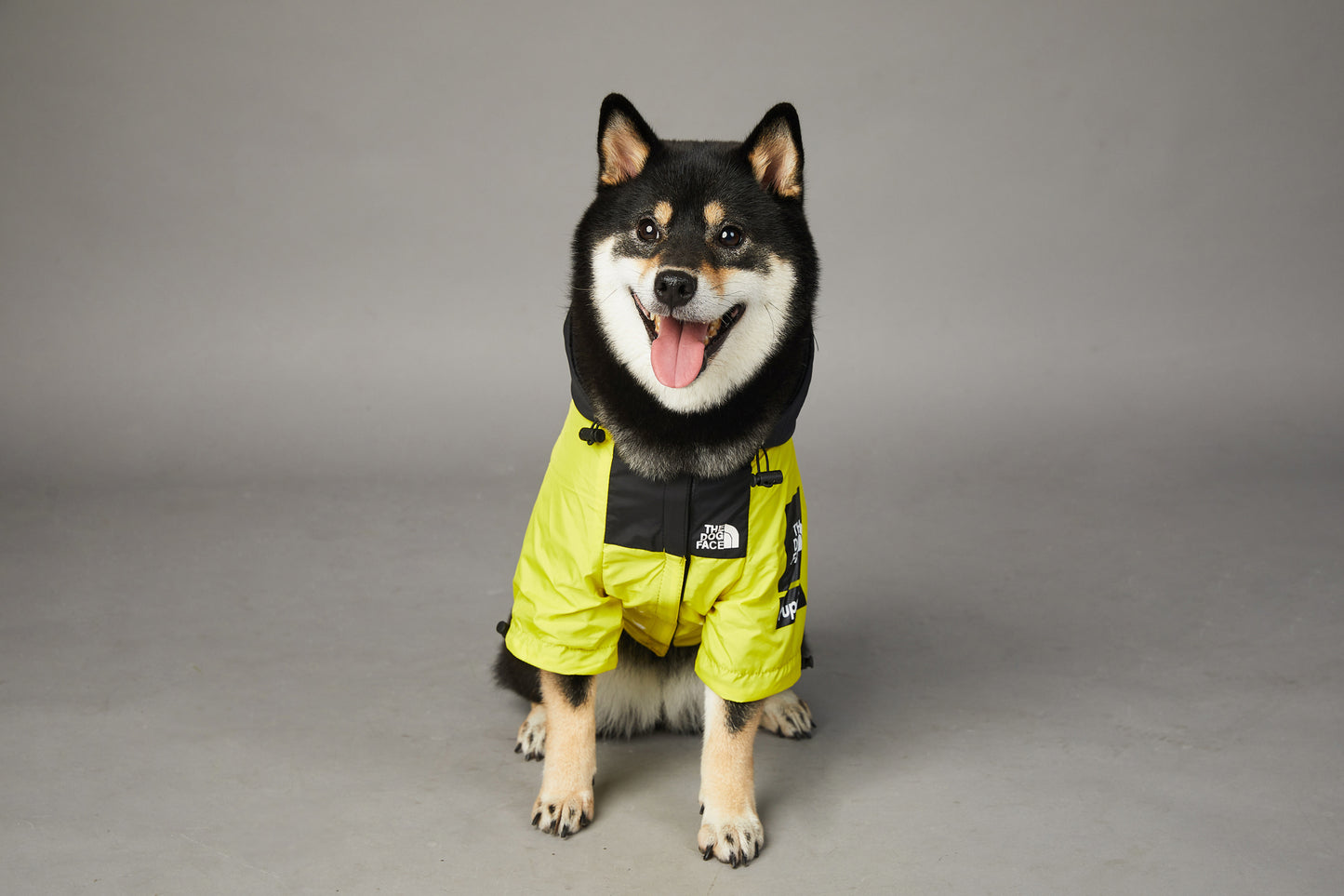 CHAMARRA IMPERMEABLE ROMEVIENTOS THE DOG FACE