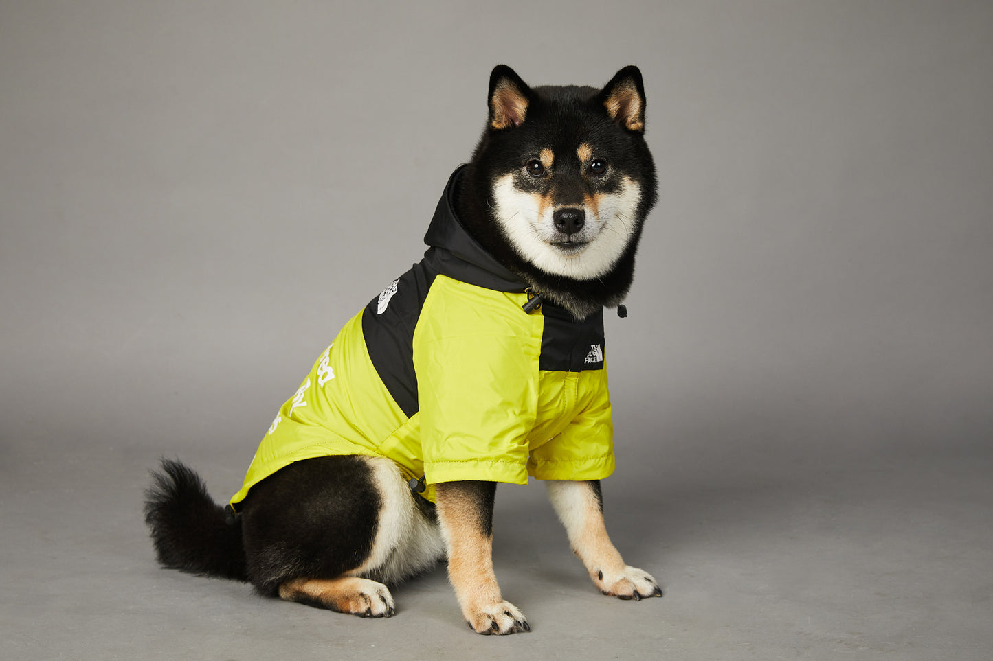 CHAMARRA IMPERMEABLE ROMEVIENTOS THE DOG FACE