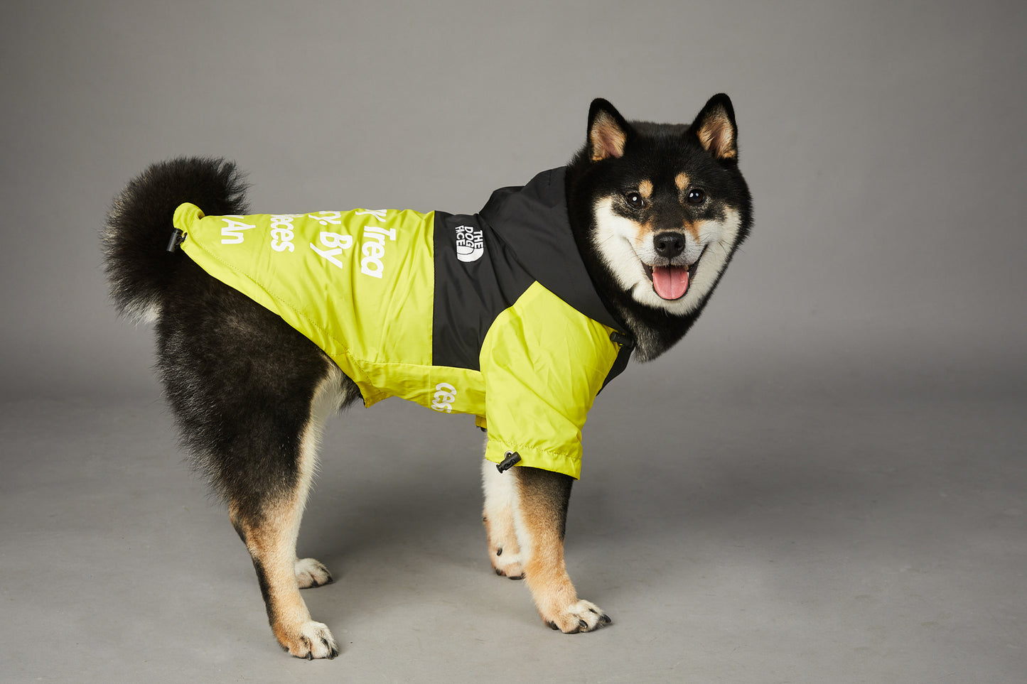 CHAMARRA IMPERMEABLE ROMEVIENTOS THE DOG FACE