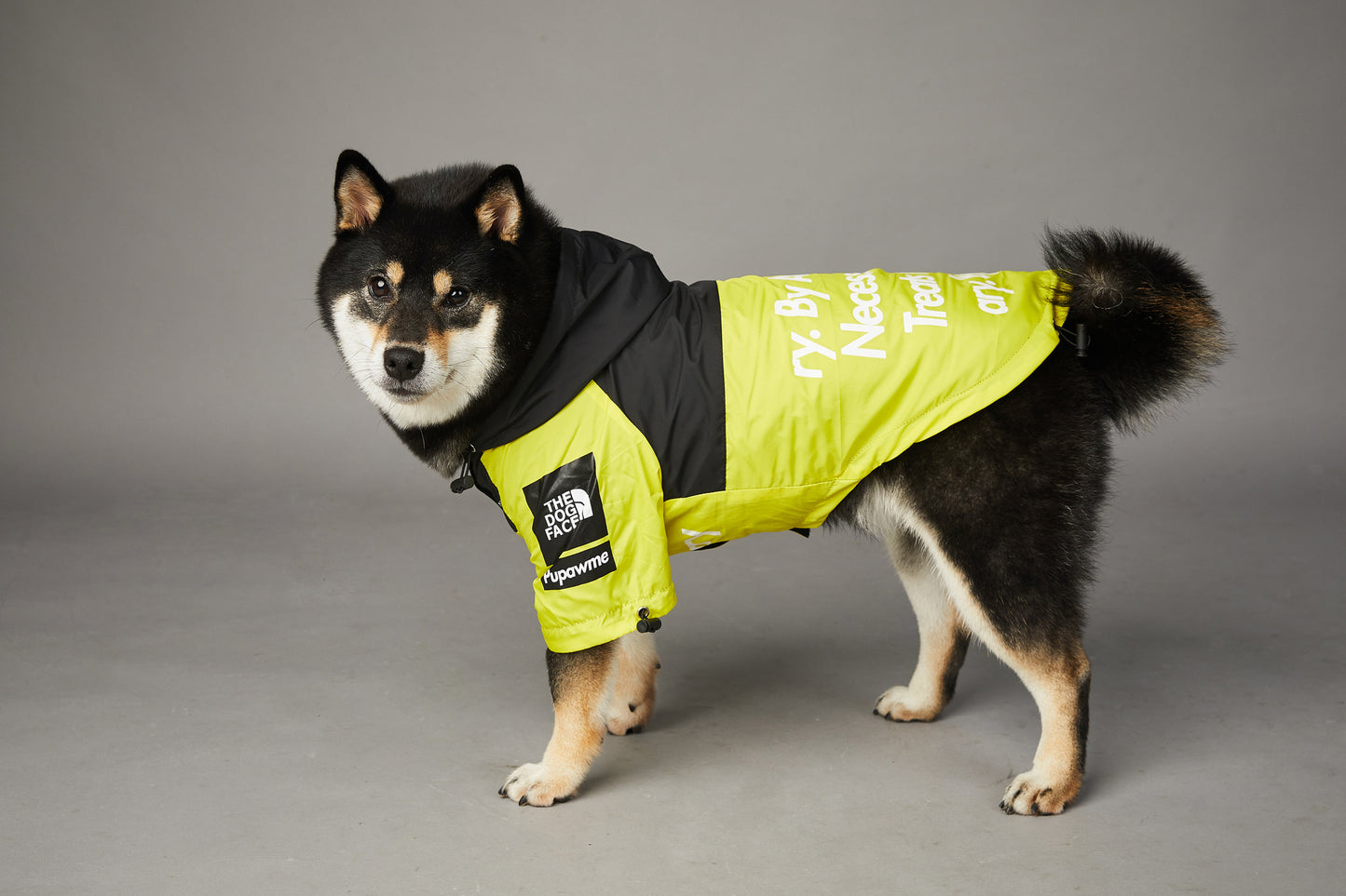 CHAMARRA IMPERMEABLE ROMEVIENTOS THE DOG FACE