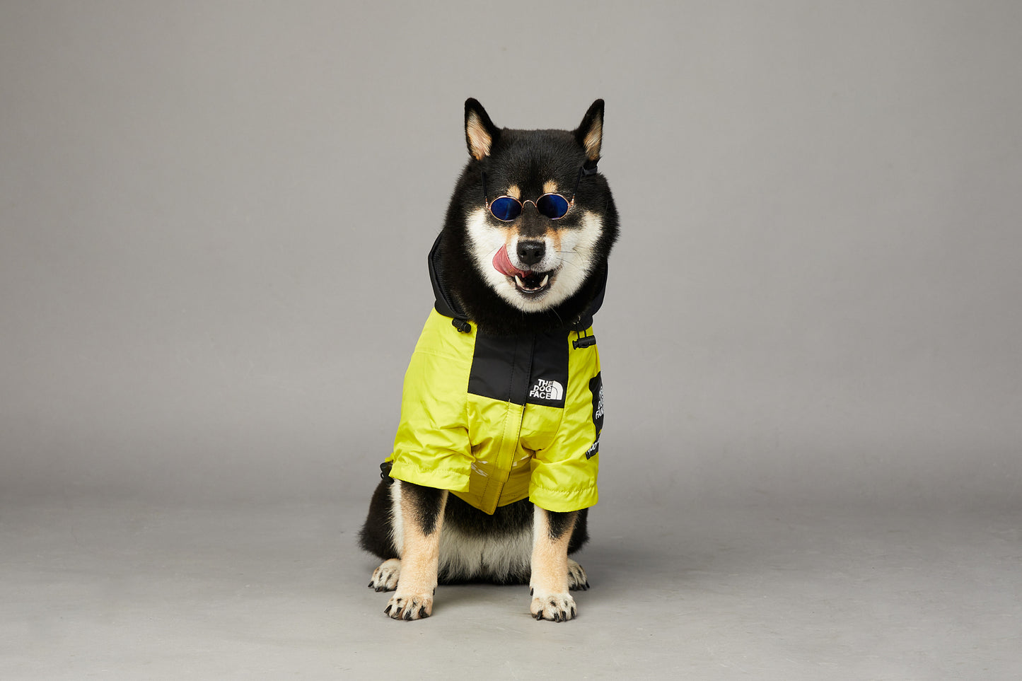 CHAMARRA IMPERMEABLE ROMEVIENTOS THE DOG FACE