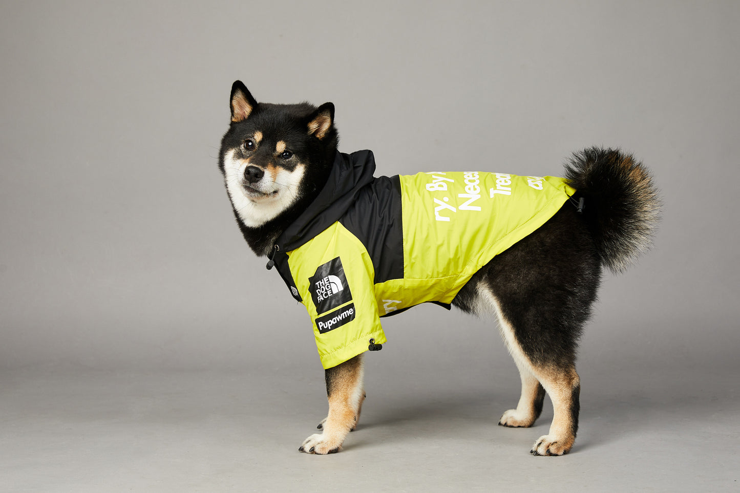 CHAMARRA IMPERMEABLE ROMEVIENTOS THE DOG FACE