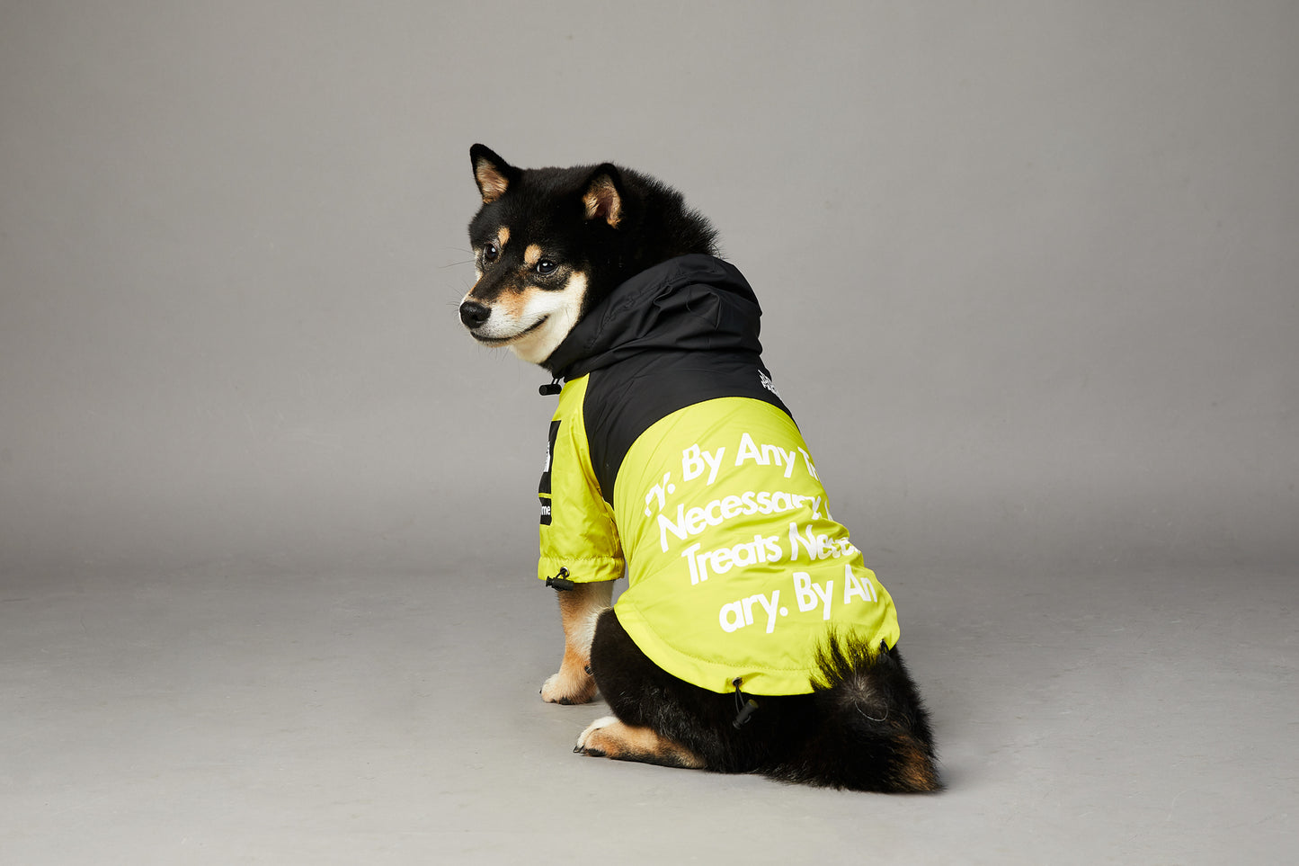 CHAMARRA IMPERMEABLE ROMEVIENTOS THE DOG FACE