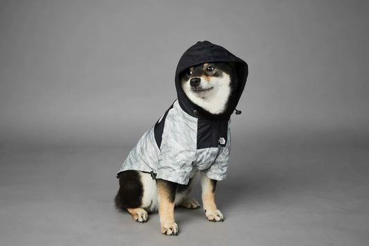 CHAMARRA IMPERMEABLE THE DOG FACE