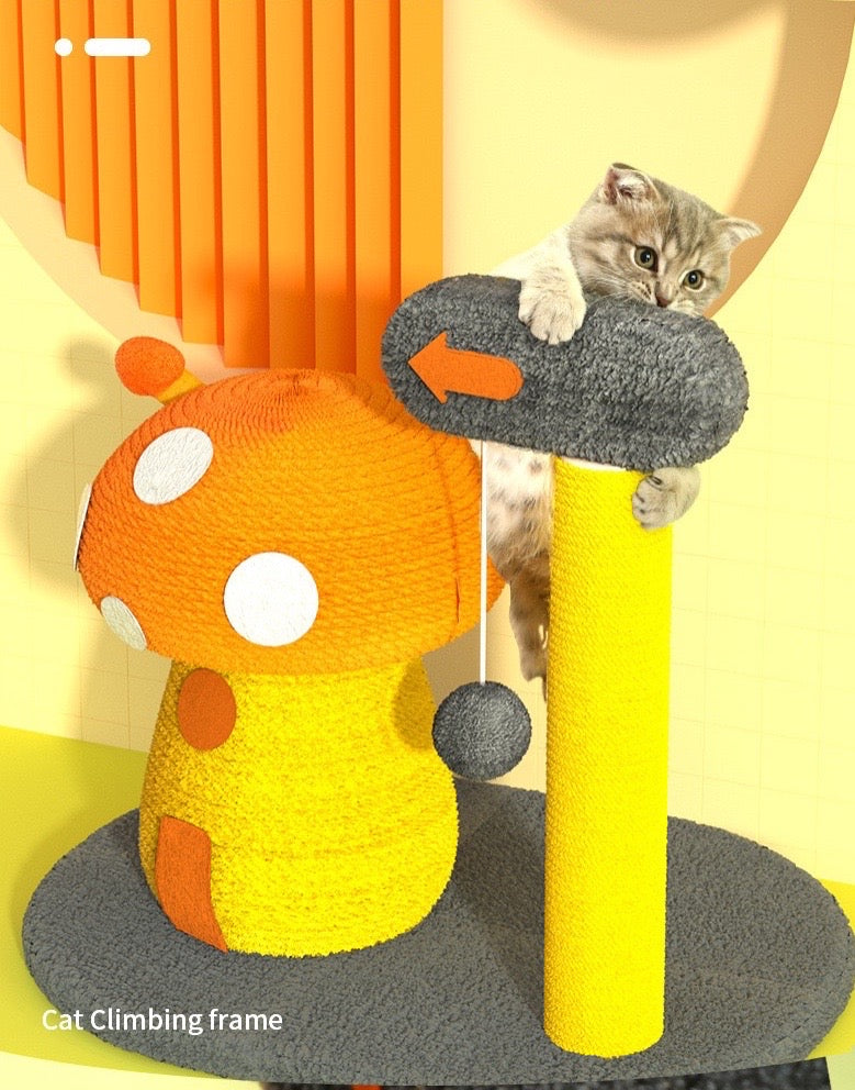 BBDD MUSHROOM HOUSE RASCADOR DE GATO SETA