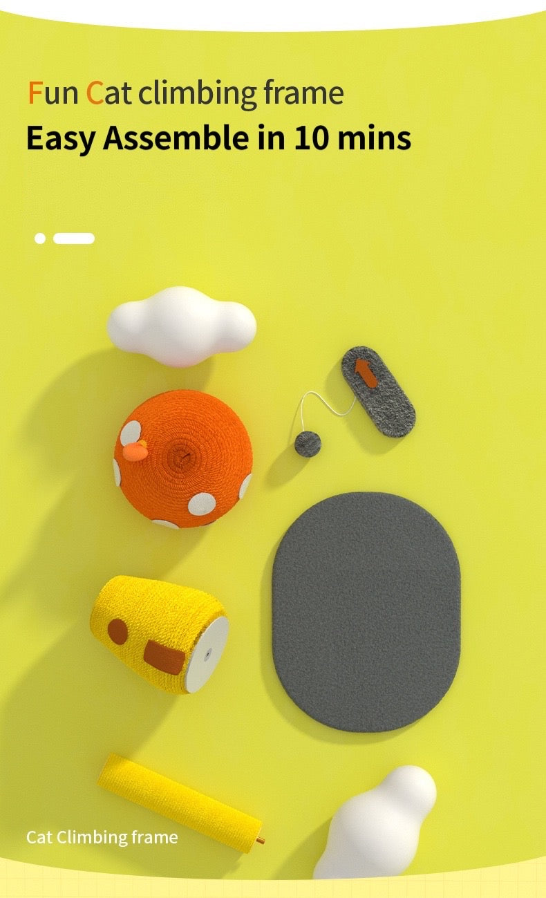 BBDD MUSHROOM HOUSE RASCADOR DE GATO SETA