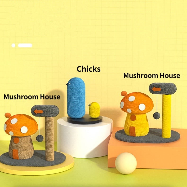 BBDD MUSHROOM HOUSE RASCADOR DE GATO SETA