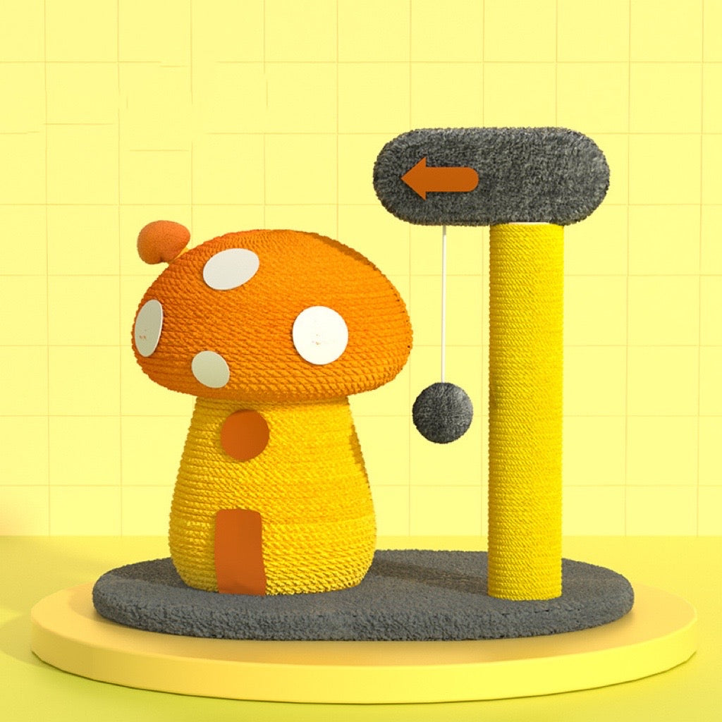 BBDD MUSHROOM HOUSE RASCADOR DE GATO SETA