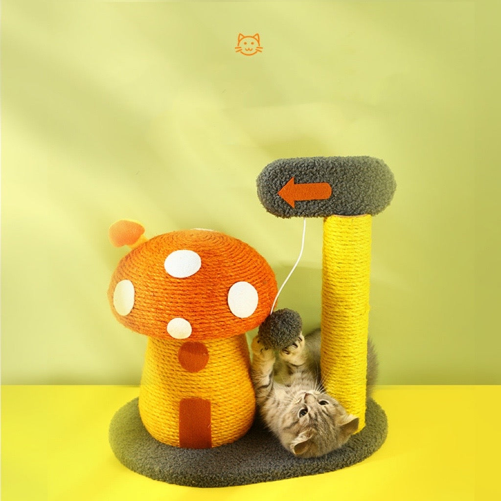 BBDD MUSHROOM HOUSE RASCADOR DE GATO SETA