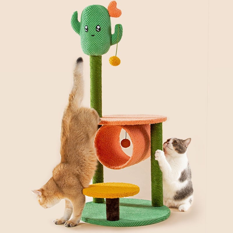 BBDD CACTUS RASCADOR DE GATO