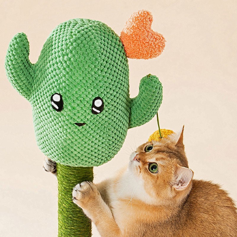 BBDD CACTUS RASCADOR DE GATO